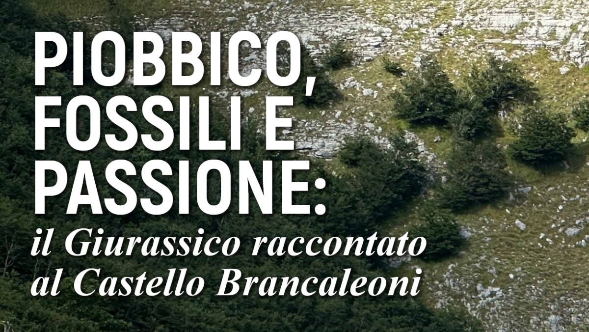 Intervista a Stefano Cresta su Geologicamente