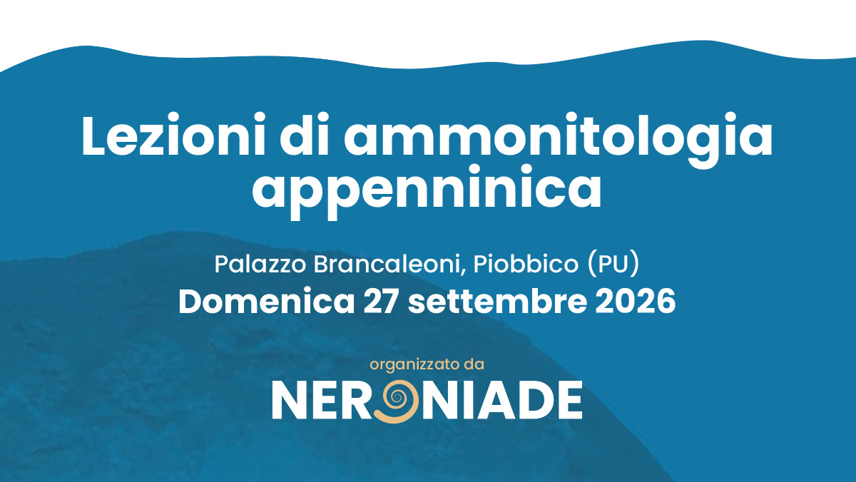 Lezioni di ammonitologia appenninica