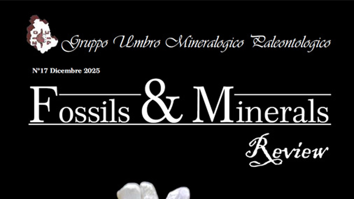 Contributo su Fossils & Minerals