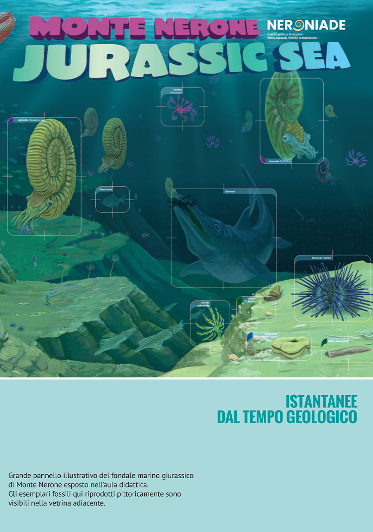 istantanee dal passato geologico