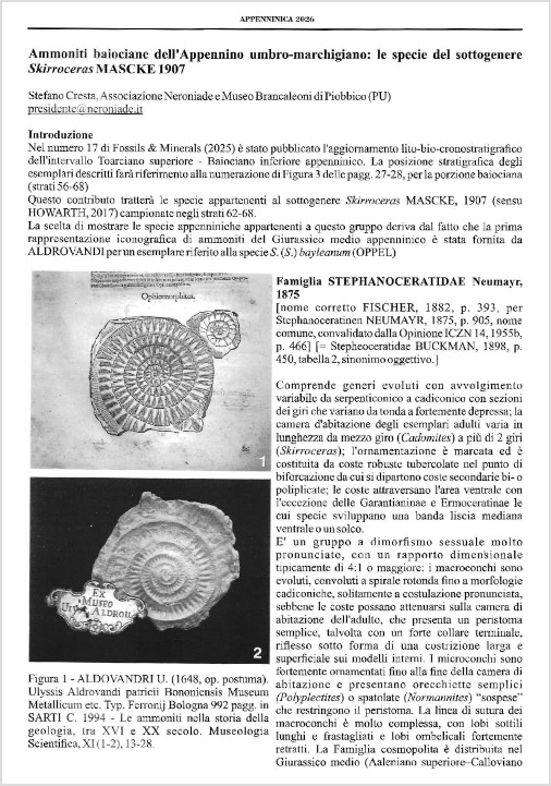 skirroceras